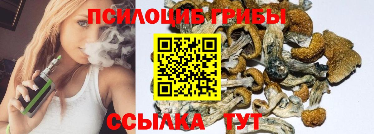 Галлюциногенные грибы Cubensis  Псилоцибиновые грибы мухоморы  Вход с VPN  Тайшет 